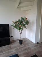 Kunstplant Ficus Ikea - Mooie decoratie!, Huis en Inrichting, Kamerplanten, Ophalen