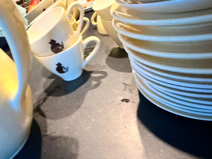 Chat noir servies koffie retro vintage Boch, Antiek en Kunst, Antiek | Servies compleet, Ophalen of Verzenden