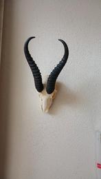 Geweien op Schild - Decoratie, Ophalen of Verzenden