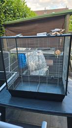 Grote vogelkooi, Ophalen, Zo goed als nieuw, Kunststof, Vogelkooi