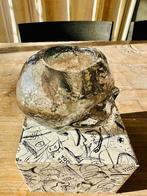 Kosta Boda grey Philipp Plein skull kandelaar met glitters, Huis en Inrichting, Overige materialen, Overige kleuren, Nieuw, Ophalen of Verzenden