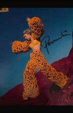 Pommelien Thijs - Gesigneerde LP, Cd's en Dvd's, Cd's | Pop, Ophalen, 2000 tot heden, Gebruikt
