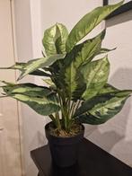 Kunstplant Intratuin, Ophalen