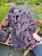 Lavasteen en hout voor aquarium, Ophalen, Plant(en), Steen of Hout