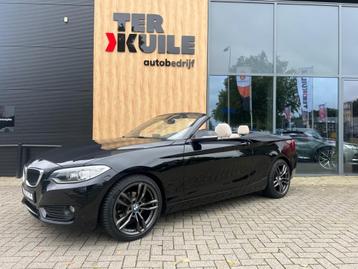 Bmw 2-SERIE Cabrio 218I ESSENTIAL beschikbaar voor biedingen