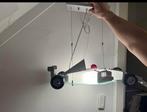 Race kamp te koop, Ophalen, Minder dan 50 cm