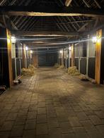 Vakantiestalling voor jouw paard in de winter, Dieren en Toebehoren, Weidegang, 2 of 3 paarden of pony's