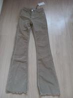 Broek van Costes, Nieuw, Ophalen of Verzenden, Costes, Maat 34 (XS) of kleiner