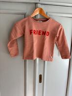 Filou & Friends leuke trui maat 116, Kinderen en Baby's, Ophalen of Verzenden, Filou & Friends, Meisje, Trui of Vest