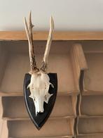 Hert herten gewei hertengewei op schild dierengewei dieren, Huis en Inrichting, Woonaccessoires | Overige, Ophalen of Verzenden