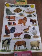 Grote poster - dieren van de boerderij - goede staat, Kinderen en Baby's, Kinderkamer | Inrichting en Decoratie, Ophalen of Verzenden