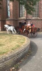 Carl hailer koets, Gebruikt, Overige typen, Paard of Pony