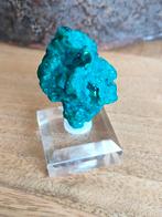 Dioptaas, Verzamelen, Ophalen of Verzenden