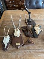 LOT OUDE GEWEITJES, Ophalen of Verzenden, Gebruikt, Beeldje of Figuurtje