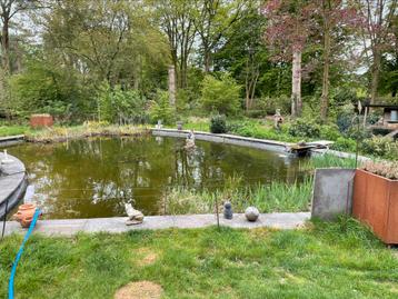 Gezocht gratis vissen en vijverplanten beschikbaar voor biedingen