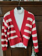 Baum und Pferdgarten vest met wol mt xs zgan, Kleding | Dames, Ophalen of Verzenden, Zo goed als nieuw, Pferd und Baumgarten, Maat 34 (XS) of kleiner