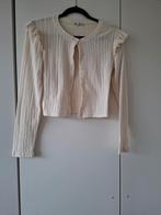 Zara blousje met lange mouwen - maat M, Maat 38/40 (M), Ophalen of Verzenden, Zo goed als nieuw, Lange mouw