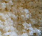 Melk kefir, Diversen, Ophalen of Verzenden