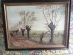 GEWELDIG OLIEVERF OP DOEK GESIGNEERD POLDER LANDSCHAP 83X62, Antiek en Kunst, Ophalen of Verzenden