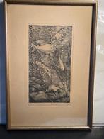 Ets van F.J. IJserinkhuijsen (1892-1959) - vissen, Ophalen of Verzenden