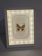 Vlinder in lijst, Ophalen of Verzenden, Overige typen