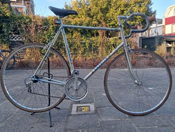 Gazelle Tour Vitesse 62 cm frame size beschikbaar voor biedingen