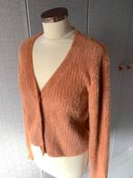 Oranje kleurig vest maat L, Kleding | Dames, Truien en Vesten, Ophalen of Verzenden, Zo goed als nieuw, Maat 38/40 (M), Oranje