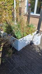 Witte polyester plantenbak, Tuin en Terras, Ophalen, Zo goed als nieuw, Kunststof