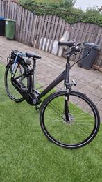 Pegasus Ef7 siena, Fietsen en Brommers, Elektrische fietsen, Zo goed als nieuw, 47 tot 51 cm, 50 km per accu of meer, Ophalen