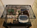 Hamsterkooi met benodigdheden., Kooi, Hamster, Zo goed als nieuw, 75 tot 110 cm