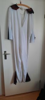 Elvis Presley Pak met Pruik - Carnaval of Feest, Carnaval, Overige maten, Ophalen of Verzenden, Kleding