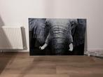 Glazen schilderij olifant, Ophalen, Zo goed als nieuw, Schilderij, 75 tot 100 cm