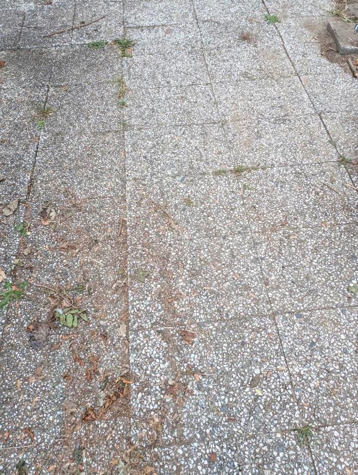 GRATIS Grindtegels 40x60 en 50x50, Tuin en Terras, Tegels en Klinkers, Gebruikt, Terrastegels, Beton, Ophalen