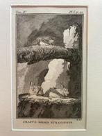 La Chauve souris etrangeres Vleermuis Buffon 1770, Antiek en Kunst, Ophalen of Verzenden