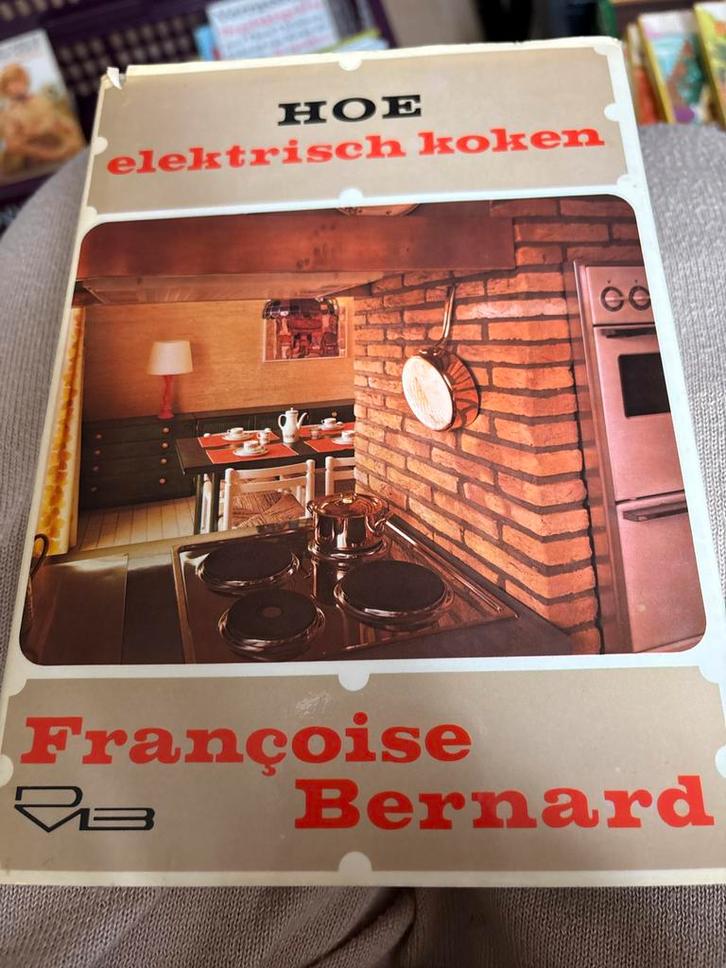 Hoe Elektrisch Koken - Françoise Bernard, Boeken, Kookboeken, Gelezen, Voorgerechten en Soepen, Frankrijk, Gezond koken, Ophalen of Verzenden