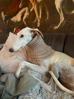 Gehaakte snood-halswarmer-colsjaal-hondenhalsband beige, Dieren en Toebehoren, Ophalen of Verzenden, Nieuw, Hondensjaal