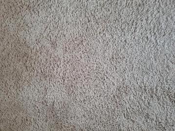 Gratis AFHALEN vloerbedekking - uiterlijk zondagavond 2 nov beschikbaar voor biedingen