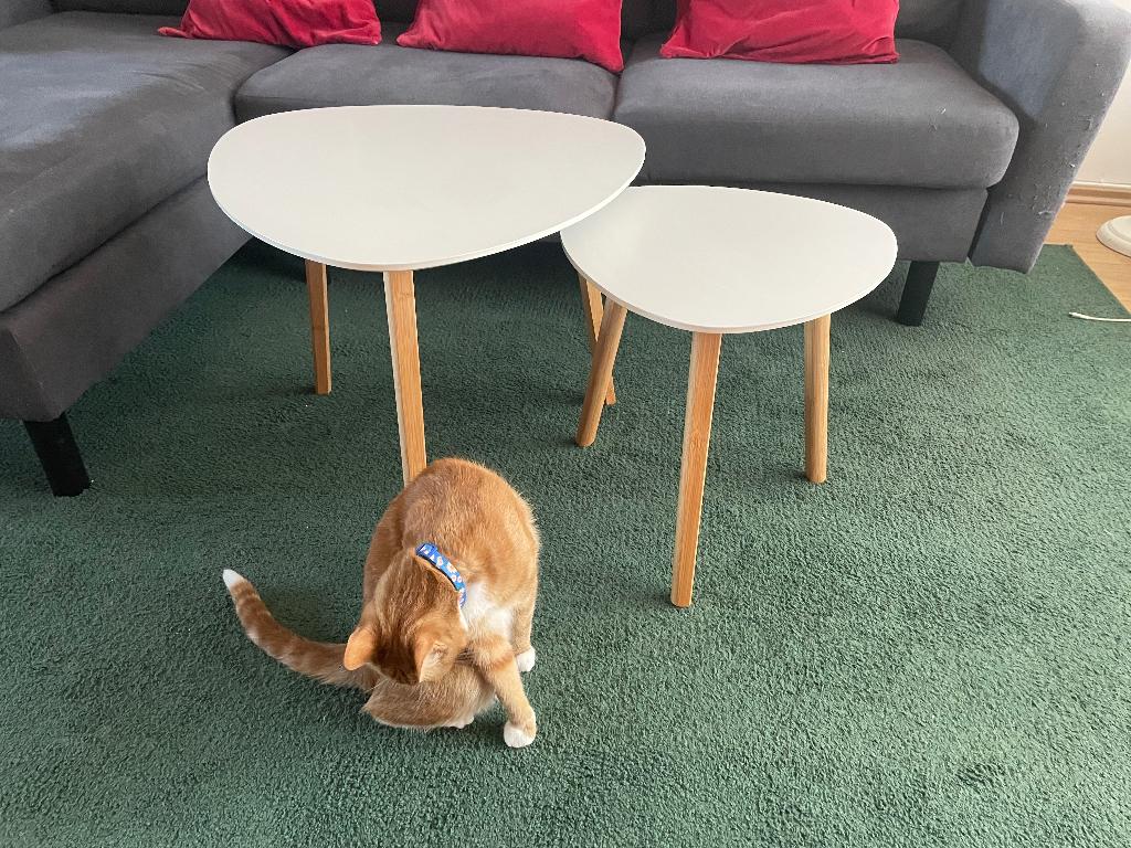 Twee bijzettafels / salontafel, Huis en Inrichting, Tafels | Bijzettafels, Overige materialen, Minder dan 55 cm, Gebruikt, Overige vormen