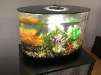 Biorb Loop 30 ltr. 100% in orde, alles werkt naar behoren, Dieren en Toebehoren, Ophalen, Gebruikt, Overige typen