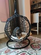 Mini hangstoel swing - dierenmandje/kattenmand, Dieren en Toebehoren, Kattenmanden, Ophalen, Zo goed als nieuw, Overige