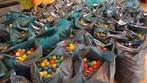 Grote Partij Ballenbakballen, Ophalen, Gebruikt