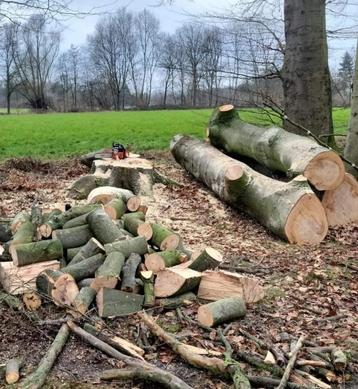 Openhaardhout beuken beschikbaar voor biedingen