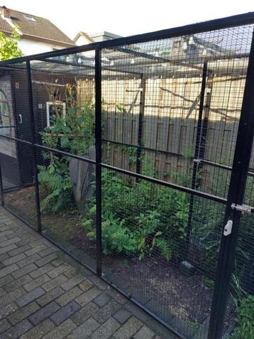 volière voor papegaaien of parkieten beschikbaar voor biedingen