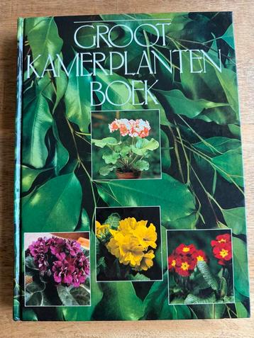 Groot Kamerplantenboek beschikbaar voor biedingen