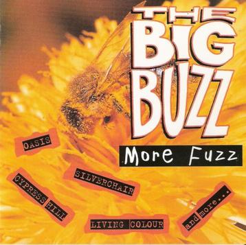The Big Buzz: More Fuzz CD beschikbaar voor biedingen