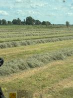 Balen, Dieren en Toebehoren