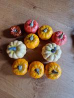 NEP POMPOENTJES 🎃, Ophalen of Verzenden