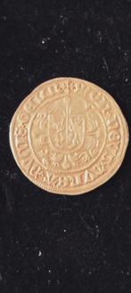 Goudgulden of rijdergulden van Karel van Egmond, Postzegels en Munten, Ophalen of Verzenden, Vóór koninkrijk, Overige waardes