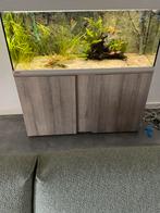 Eheim vivaline aquarium met ledverlichting, Dieren en Toebehoren, Ophalen, Zo goed als nieuw, Leeg aquarium