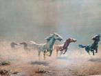 Paarden prent in witte lijst, Antiek en Kunst, Kunst | Schilderijen | Klassiek, Ophalen of Verzenden